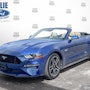 1 FATP8 FF5 N5109945 22 M613 A 2022 Ford Mustang NEW RESHOOT 01